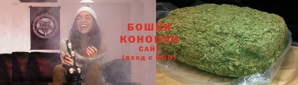 ГАЛЛЮЦИНОГЕННЫЕ ГРИБЫ Михайлов
