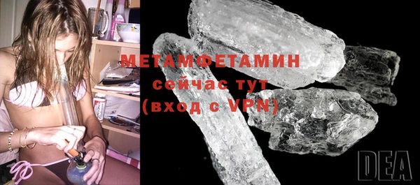 ГАЛЛЮЦИНОГЕННЫЕ ГРИБЫ Михайлов