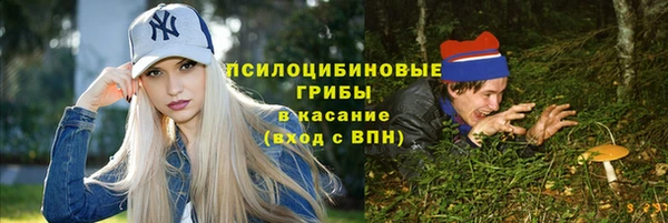 ГАЛЛЮЦИНОГЕННЫЕ ГРИБЫ Михайлов