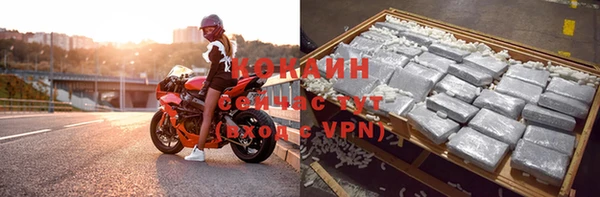 ГАЛЛЮЦИНОГЕННЫЕ ГРИБЫ Михайлов