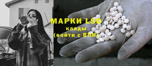 ГАЛЛЮЦИНОГЕННЫЕ ГРИБЫ Михайлов