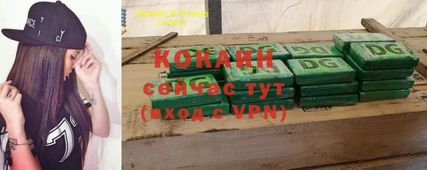 ГАЛЛЮЦИНОГЕННЫЕ ГРИБЫ Михайлов