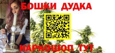 прущие крисы Аргун