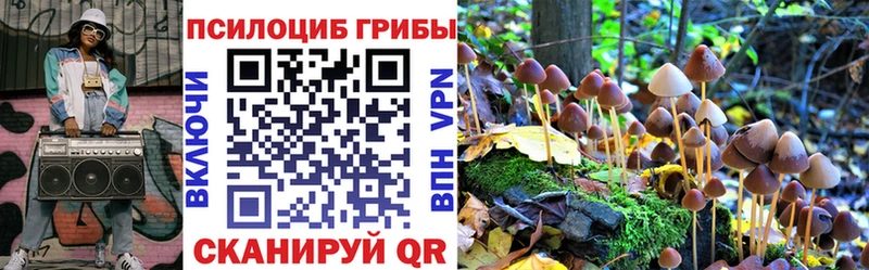 где купить наркотик  Фурманов  Галлюциногенные грибы Psilocybe 