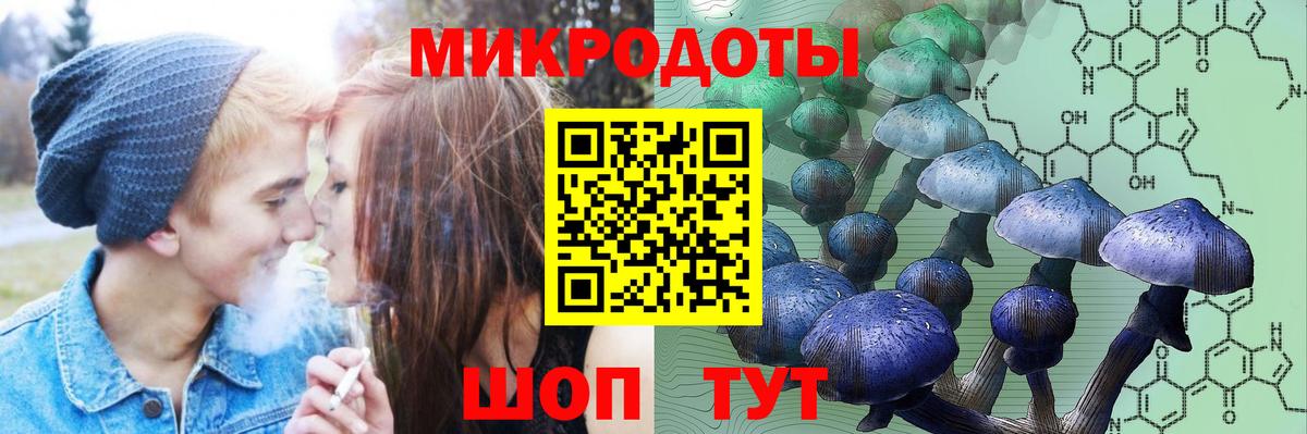 Фурманов  Галлюциногенные грибы ЛСД  Вход с VPN 